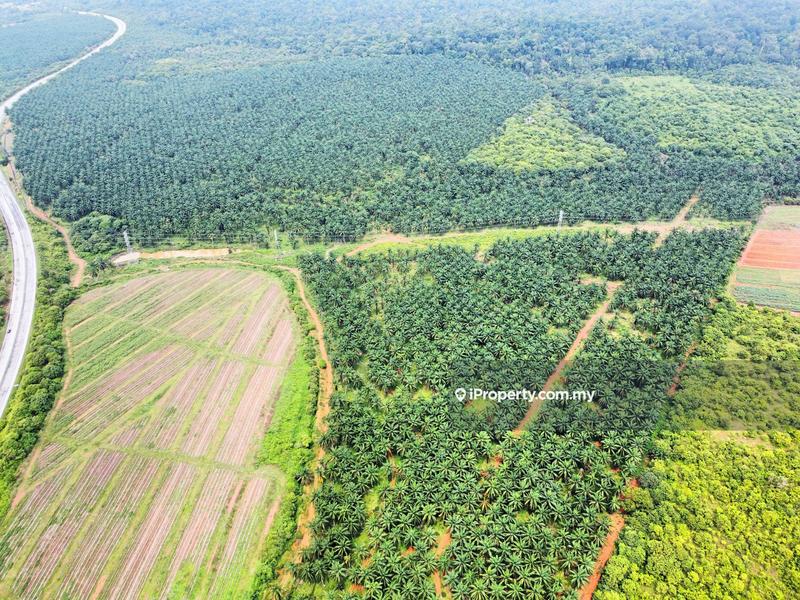 Agricultural Land for Sale in Kampung Batu 7, Port Dickson by Mohamad Faleeq - iProperty.com.my
