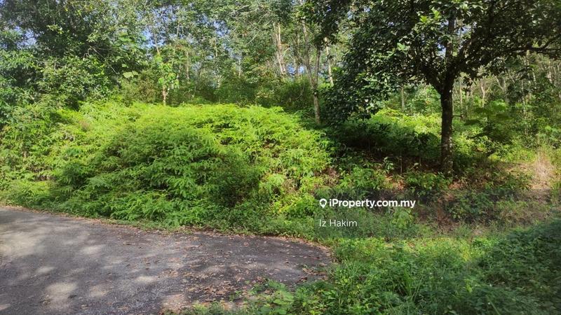 Tanah Pertanian untuk Dijual di hulu rening, Batang Kali oleh Iz Hakim - iProperty.com.my