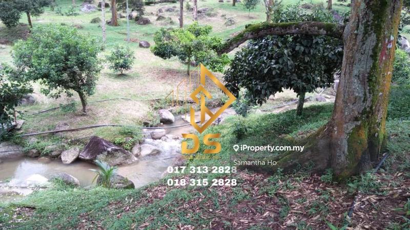For Sale - Durian Orchard Tapah