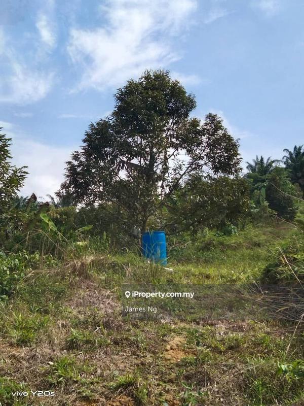 Tanah Pertanian untuk Dijual di Seri Telemong, Telemong oleh James Ng - iProperty.com.my