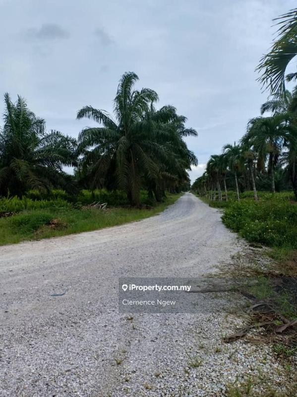 Tanah Pertanian untuk Dijual di Teluk Intan, Teluk Intan oleh Clemence Ngew - iProperty.com.my