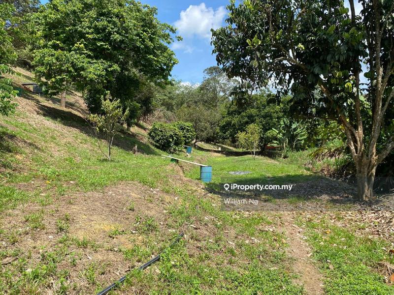 Agricultural Land for Sale in Taman Jelebu, Kuala Klawang by William Ng - iProperty.com.my