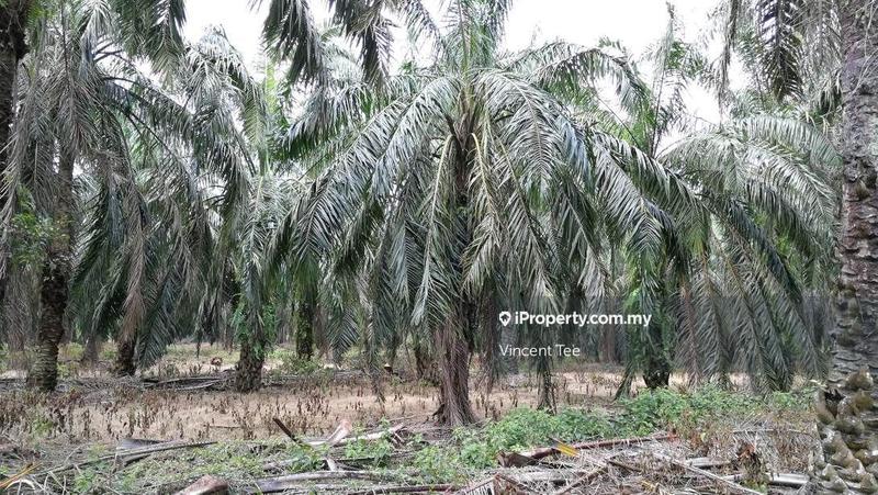 Residential Land for Sale in Batang Berjuntai, Kuala Selangor by Vincent Tee - iProperty.com.my