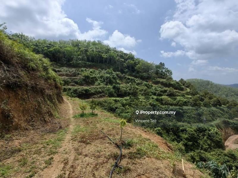 Agricultural Land for Sale in Pekan Baru Titi, Titi by Vincent Tee - iProperty.com.my