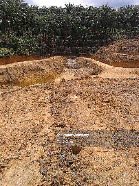 Tanah Pertanian untuk Dijual di Kampung Sungai Lalang, Semenyih oleh Terry Chan - iProperty.com.my