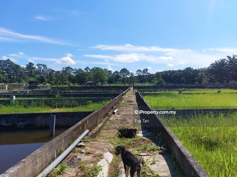 Tanah Kediaman untuk Dijual di Plentong, Plentong oleh Eva Tan - iProperty.com.my