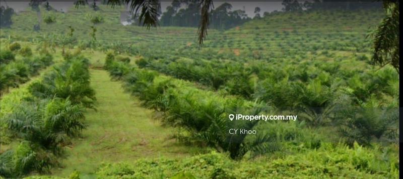Agricultural Land for Sale in Johor Kulai 81000, Kulai by CY Khoo - iProperty.com.my
