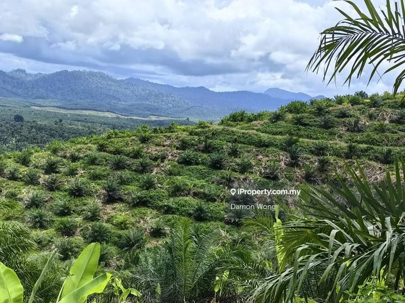 Agricultural Land for Sale in Quoin Hill, Tawau by Damon Wong - iProperty.com.my