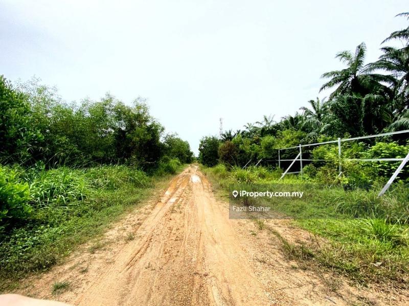 Agricultural Land for Sale in Saujana KLIA, Kota Warisan, Sepang by Fazli Shahar - iProperty.com.my