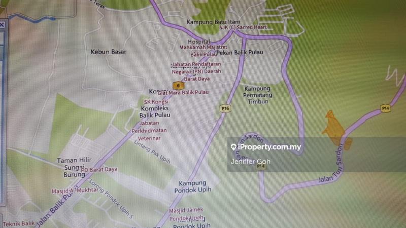 For Sale - Balik Pulau Agriculture land for sales