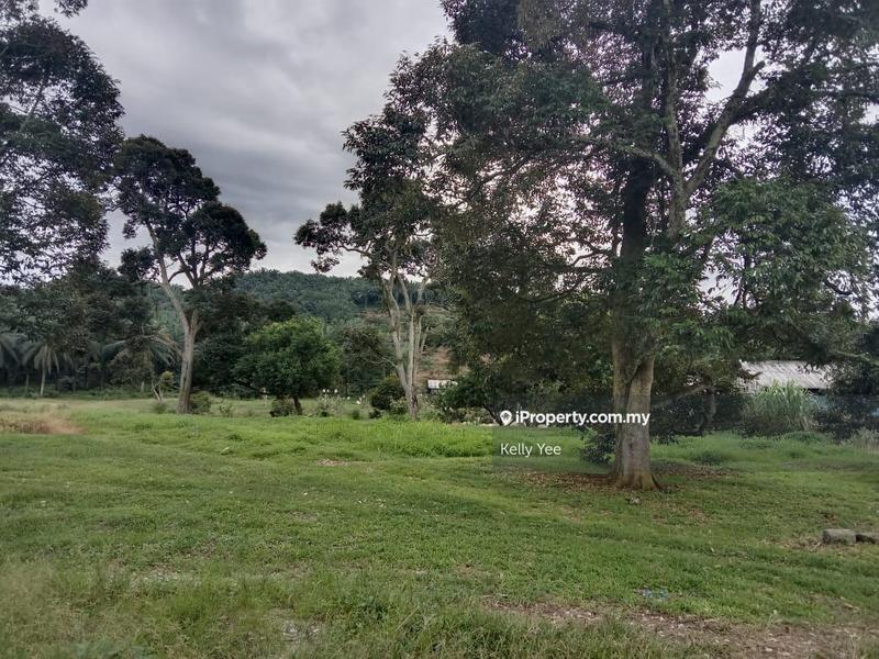 For Sale - Machang Bubok Durian Farm Land for Sale