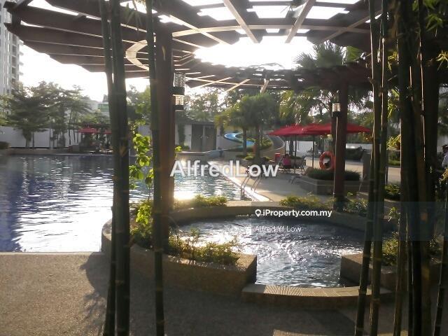 For Sale - Molek Pine 3