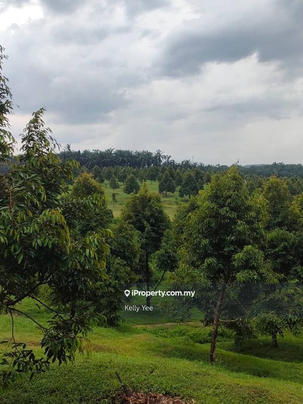 Tanah Pertanian untuk Dijual di Kampung Sungai Terap, Serdang oleh Kelly Yee - iProperty.com.my