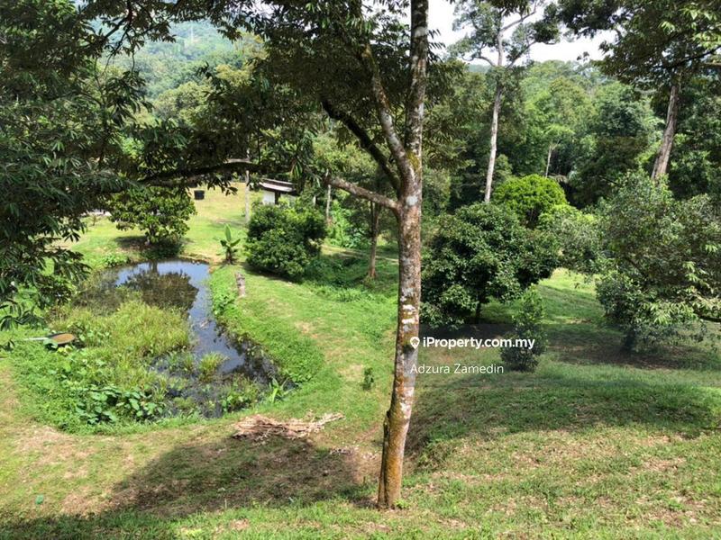For Sale - Agricultural Land Hulu Langat, Selangor