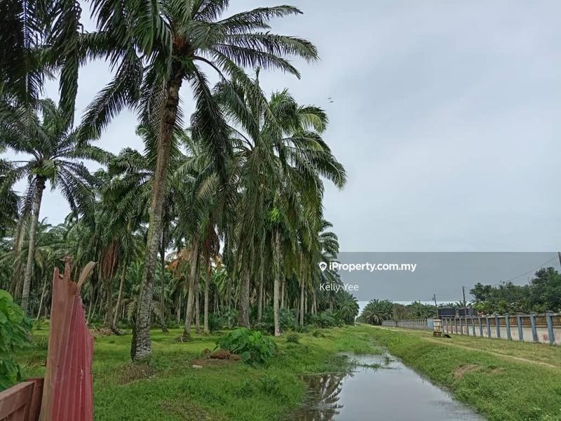 Agricultural Land for Sale in Changkat, Nibong Tebal by Kelly Yee - iProperty.com.my