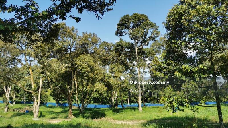 Agricultural Land for Sale in Beranang, Ulu Langat by Wilson Tan - iProperty.com.my