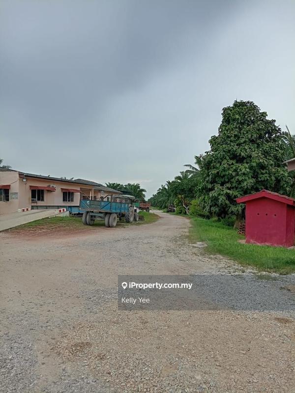 Tanah Pertanian untuk Dijual di Palm Oil Plantation @ Teluk Intan for Sale, Teluk Intan oleh Kelly Yee - iProperty.com.my