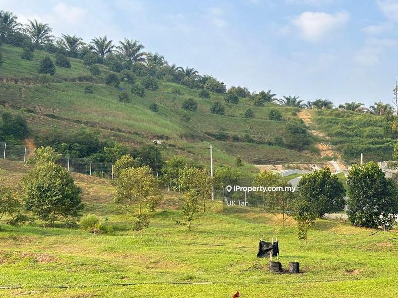 For Rent - Agriculture Land 6 Acres @ Serendah Rawang