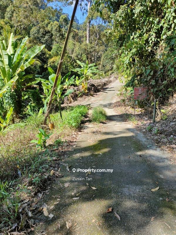 Agricultural Land for Sale in Gertak Sanggul, Bayan Lepas by Zusain Tan - iProperty.com.my