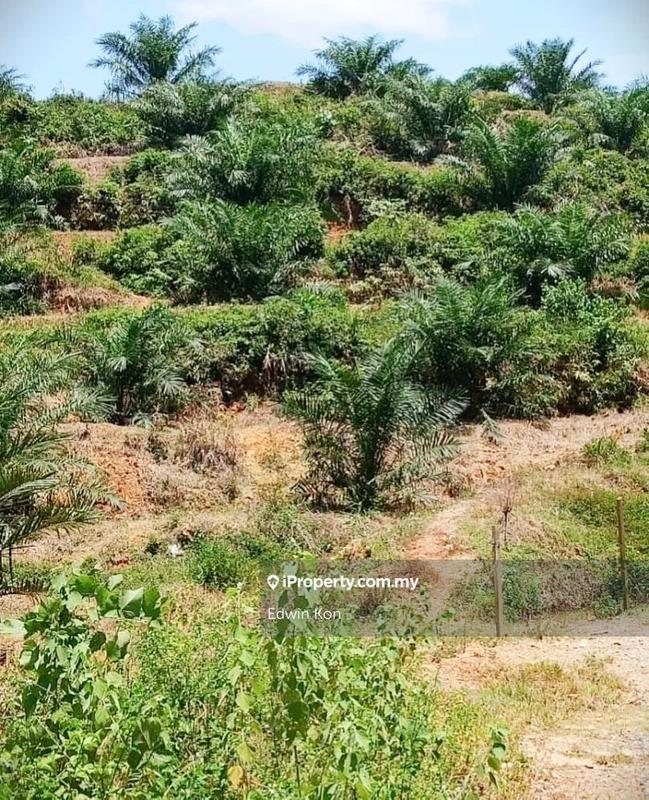 Tanah Pertanian untuk Dijual di Taman Gua Musang, Gua Musang oleh Edwin Kon - iProperty.com.my