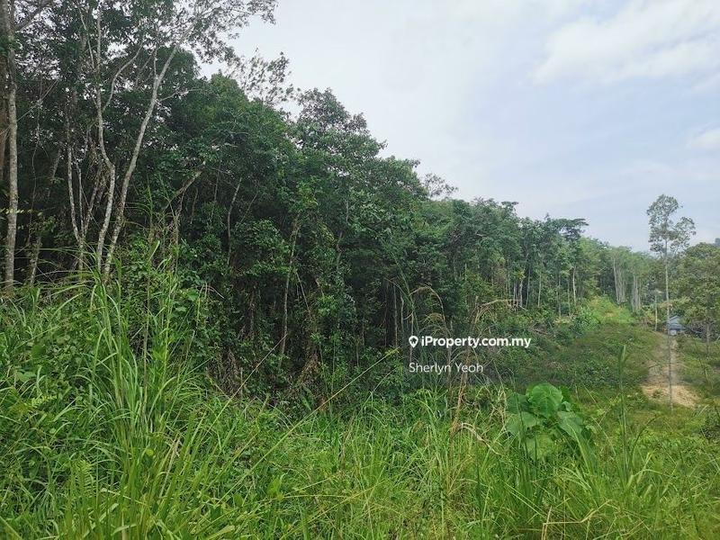 Agricultural Land for Sale in Sungai Dua, Sabai by Sherlyn Yeoh - iProperty.com.my