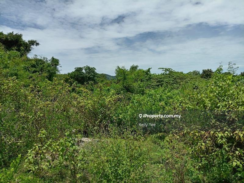 Agricultural Land for Sale in Agriculture Land Near Taman Bukit Juru for Sale, Simpang Ampat by Kelly Yee - iProperty.com.my
