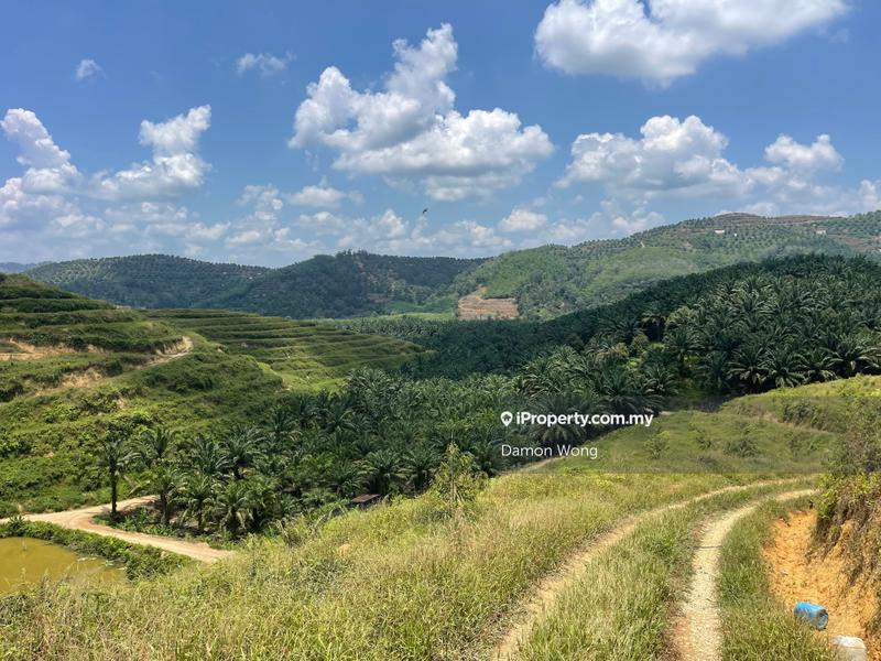Tanah Pertanian untuk Dijual di Karak, Bentong oleh Damon Wong - iProperty.com.my