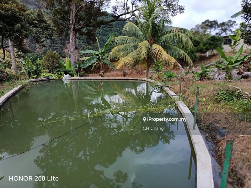 Tanah Pertanian untuk Dijual di Kampung Sungai Pinang, Balik Pulau oleh CH Chang - iProperty.com.my