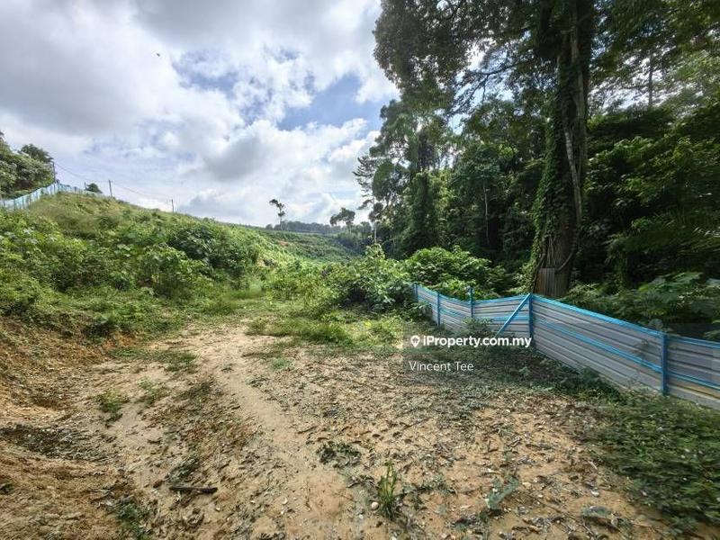 Agricultural Land for Sale in Bandar Lipis, Kuala Lipis by Vincent Tee - iProperty.com.my