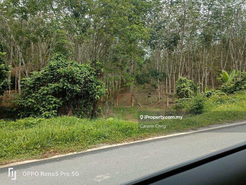 Tanah Pertanian untuk Dijual di Kampung Titi, Titi oleh Carene Chng - iProperty.com.my