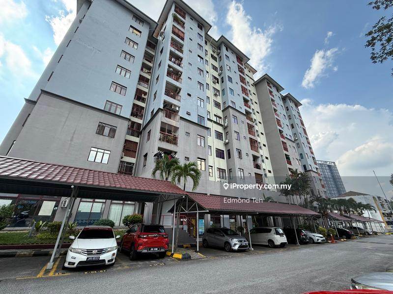 For Sale - Shamelin Bestari