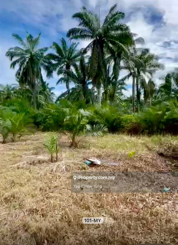 Agricultural Land for Sale in Banting, Banting by Yap Chew Ying - iProperty.com.my