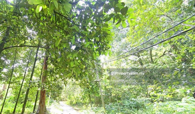 Tanah Pertanian untuk Dijual di Bandar Utama Batang Kali, Batang Kali oleh hayati.iagent.my - iProperty.com.my