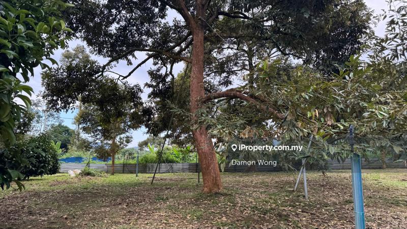For Sale - 15 acres Musang King Durian orchard