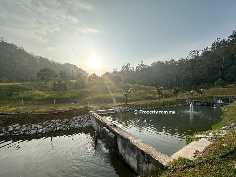 For Rent - Agriculture Land 6 Acres @ Serendah Rawang