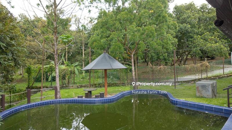 Tanah Pertanian untuk Dijual di Hulu Langat, Selangor oleh Natasha Farini Talib - iProperty.com.my