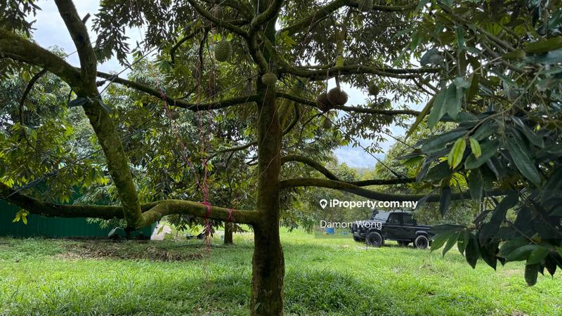 Tanah Pertanian untuk Dijual di Sg Ruan, Raub oleh Damon Wong - iProperty.com.my