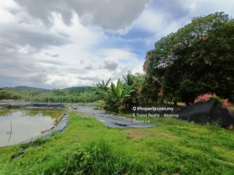 Tanah Pertanian untuk Dijual di Bukit Beruntung, Rawang oleh Kelvin Lai - iProperty.com.my