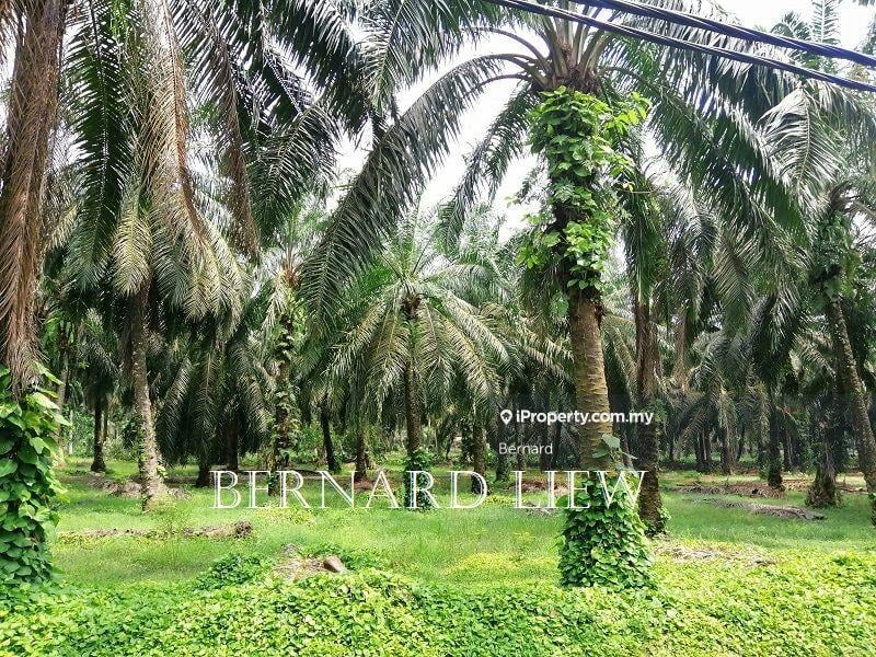 Agricultural Land for Sale in Kamunting, Kamunting by Bernard - iProperty.com.my