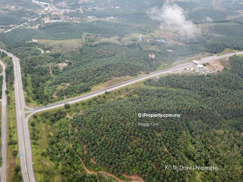 Agricultural Land for Sale in Sri Jaya, Maran by Peggy Lim - iProperty.com.my