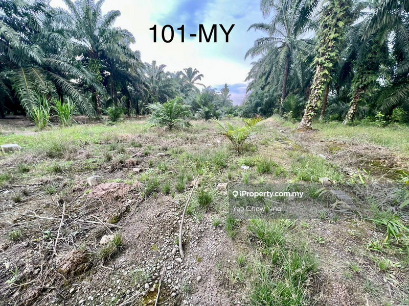 For Sale - Limited!! 2.16 Acres Agriculture Land Sijangkang Utama, Telok Panglima Garang - SALE!