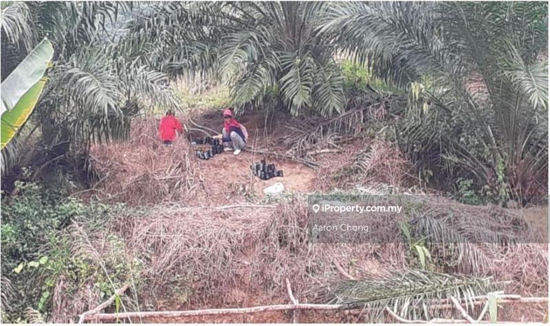 Agricultural Land for Sale in Ranau, Sabah by Aaron Chong - iProperty.com.my