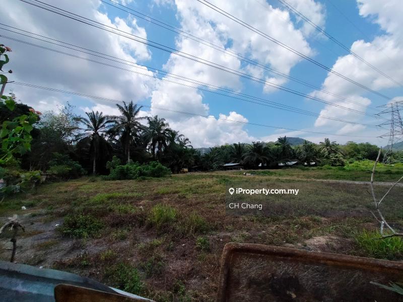 Agricultural Land for Sale in Tasek, Simpang Ampat by CH Chang - iProperty.com.my