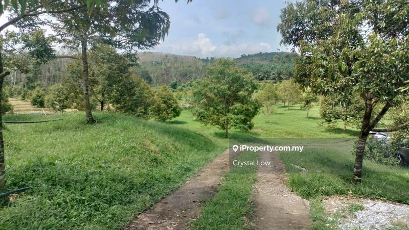 Tanah Pertanian untuk Dijual di Raub, Raub oleh Crystal Low - iProperty.com.my