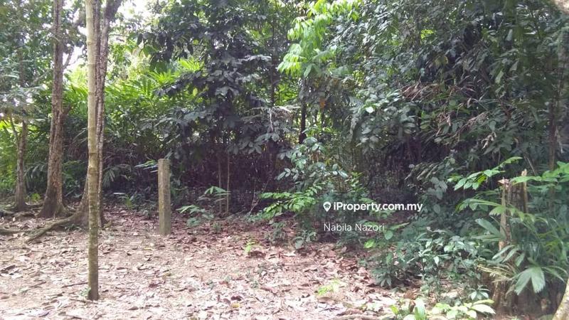 Tanah Kediaman untuk Dijual di Bunut Susu, Pasir Mas oleh Nabila Nazori - iProperty.com.my