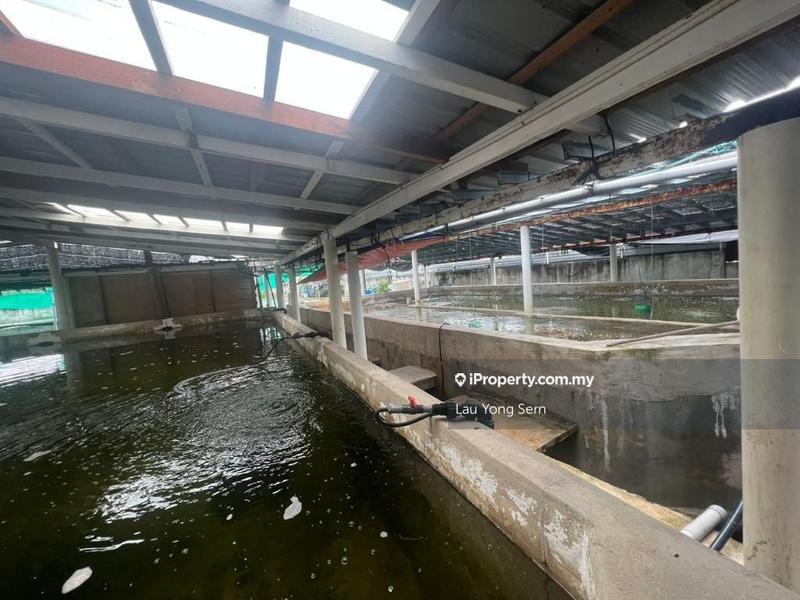 3-storey Terraced House for Sale in Bedong, Bedong by Lau Yong Sern - iProperty.com.my