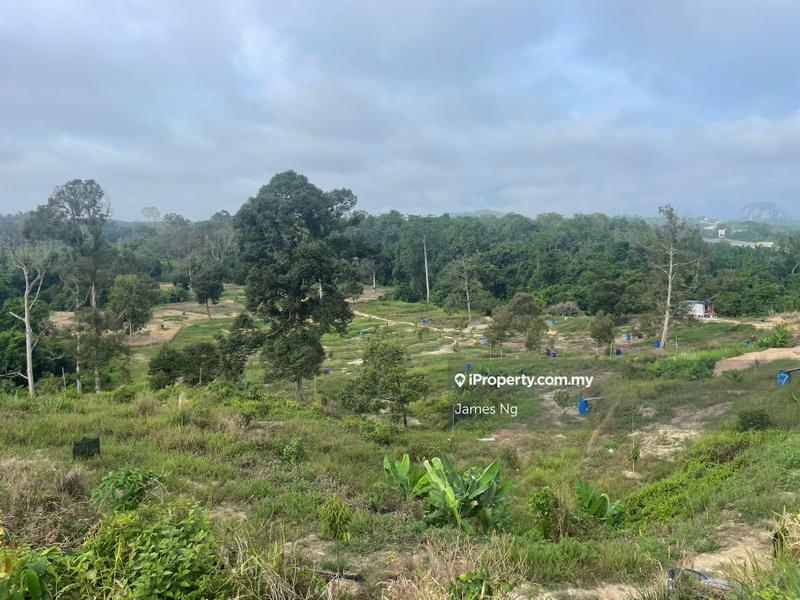 Agricultural Land for Sale in Karak,Pahang, Kuantan by James Ng - iProperty.com.my