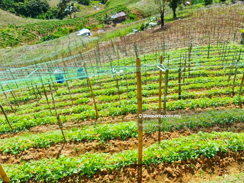 Agricultural Land for Sale in Genting Highlands, Bentong by Irene Leong - iProperty.com.my