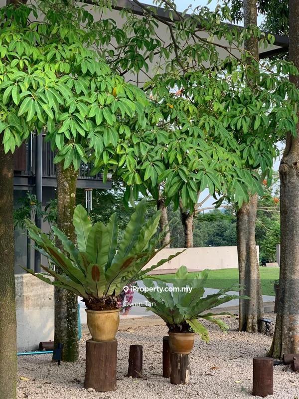 Bungalow House for Rent in Leisure farm, Iskandar Puteri (Nusajaya) by Owen Tan - iProperty.com.my