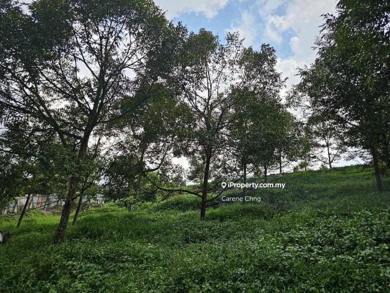 Agricultural Land for Sale in Hulu Langat, Selangor by Carene Chng - iProperty.com.my
